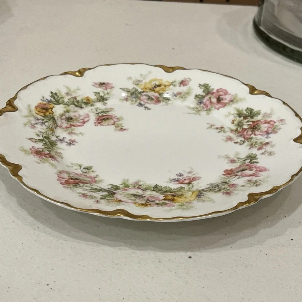 Rare Antique Haviland Limoge 9.5